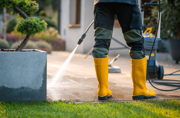Best Power Washing Near Me  in Electra, TX